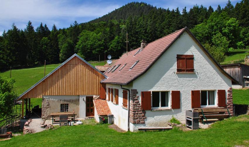 Gite Rammelstein Ribeauville  Exterior photo